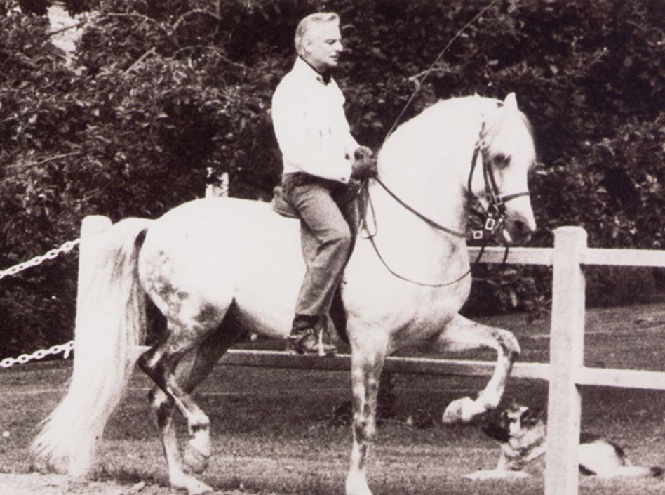 Etalons Semence disponible Chevaux à la vente Haras du Coussoul