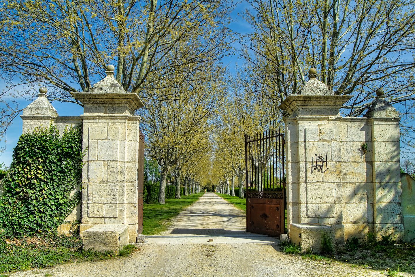 Etalons Semence disponible Chevaux à la vente Haras du Coussoul