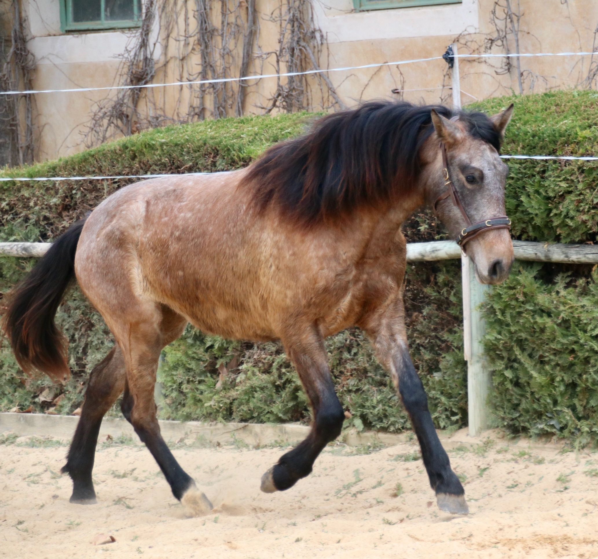 Lutèce0