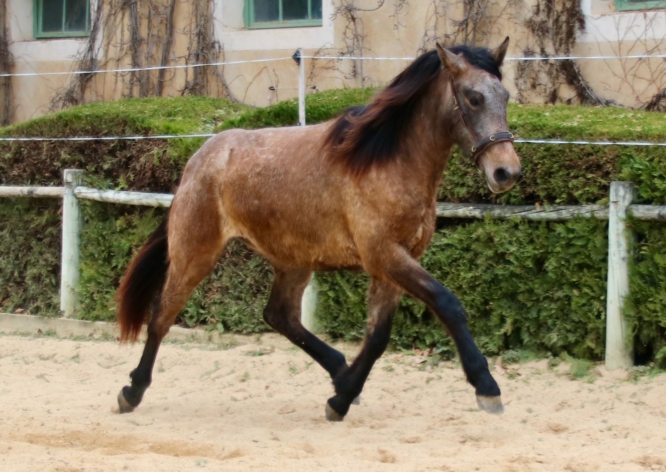 Lutèce5