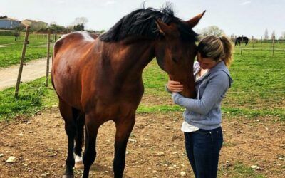 Entretien #1 : Ambassadeurs du Coussoul: Clémence Lesconnec et Night Dancer du Coussoul