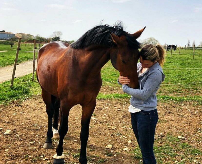 Entretien #1 : Ambassadeurs du Coussoul: Clémence Lesconnec et Night Dancer du Coussoul