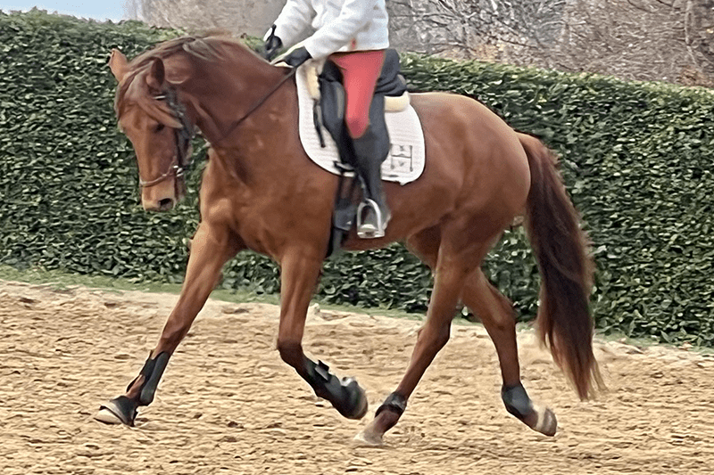 Rubirosa6